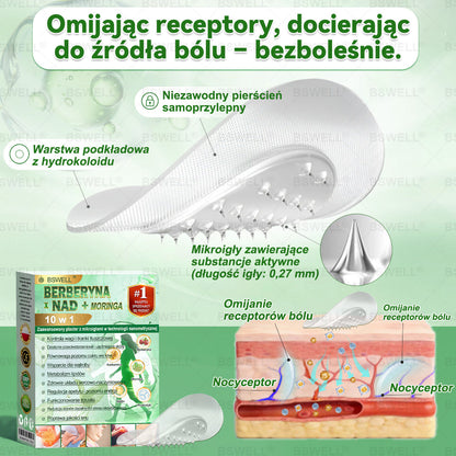 🪻BSWELL® Nano mikroigłowy plaster wyszczuplający (Raz dziennie, efekty już po 28 dniach ✅ Wspiera odchudzanie, serce, cukrzycę, sen, jelita, stawy i więcej.